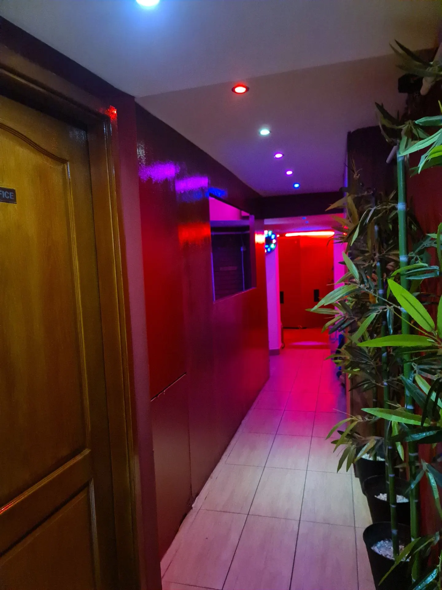 Corridor lined with bamboo plants and red-lit walls