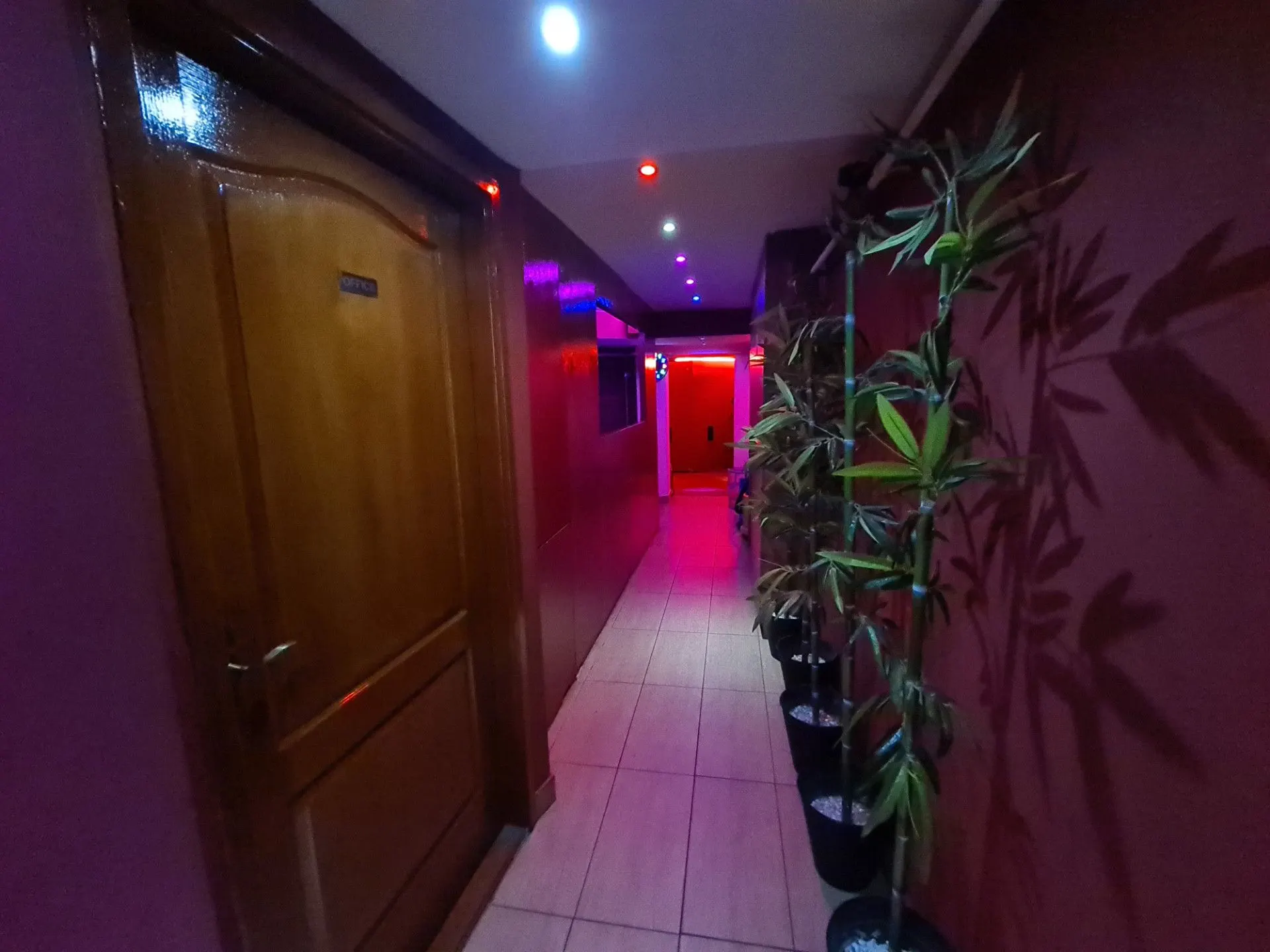 Corridor with wooden doors, bamboo and red mood lighting