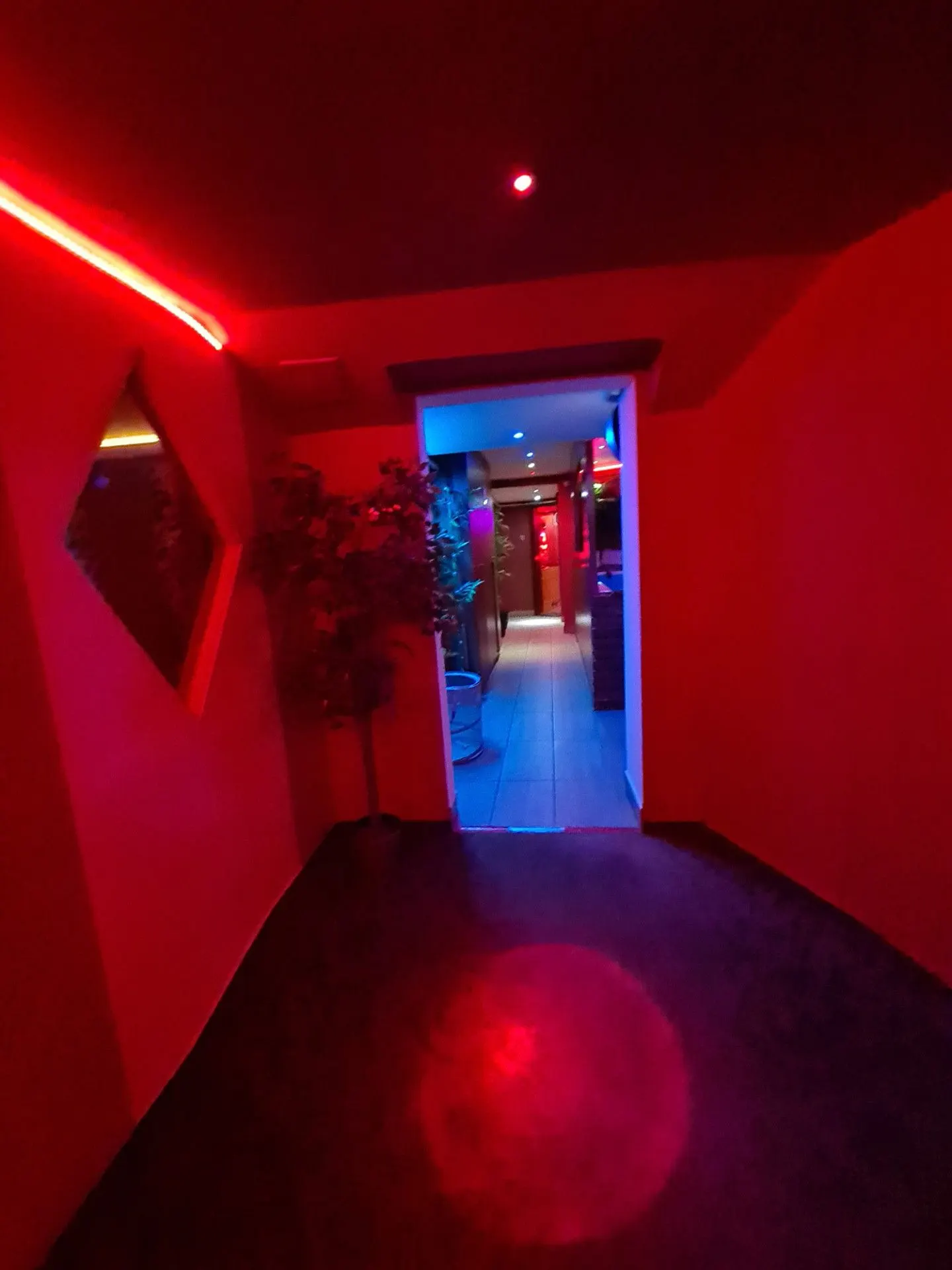 Red-lit passage towards a door at the end of the corridor