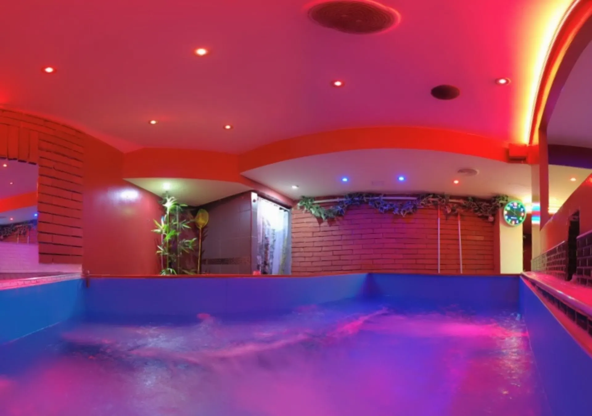 Jacuzzi with a brick wall, plants and a red neon ceiling