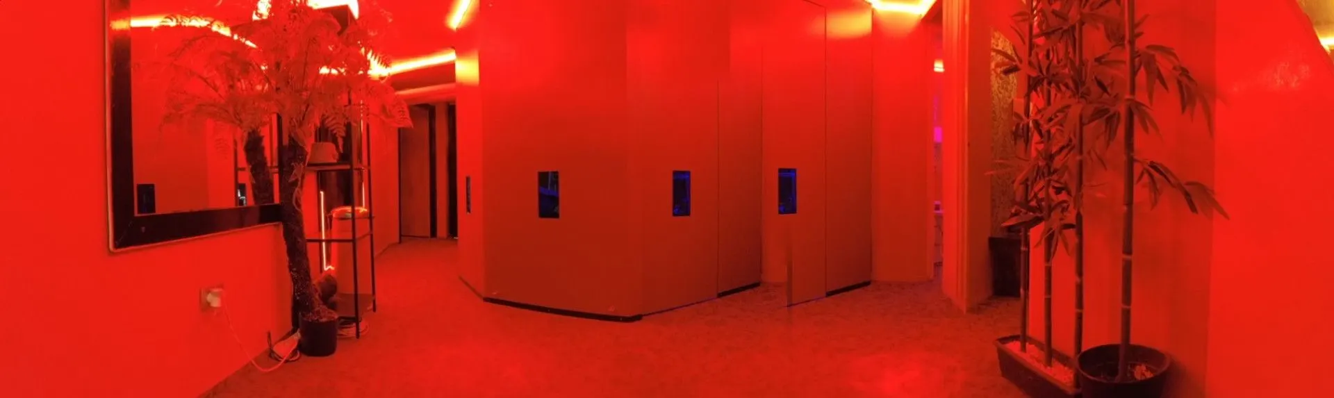 Red corridor with bamboo plants and the doors to the rooms