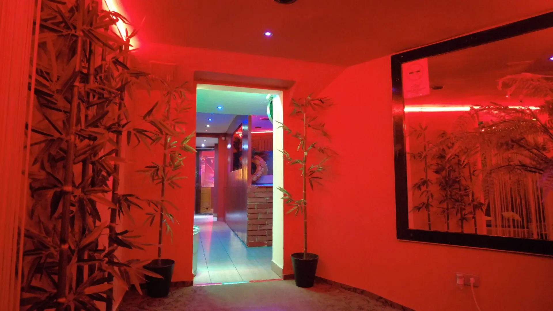 Red-lit corridor with bamboo plants and a mirror