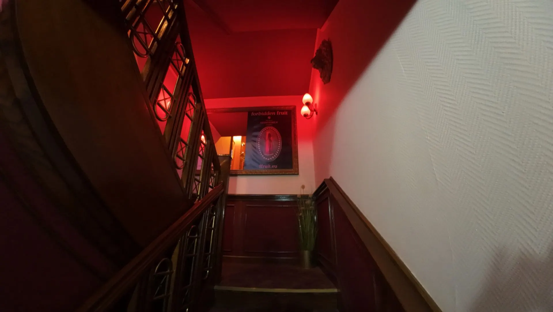 The entrance stairway in red light with a poster on the wall