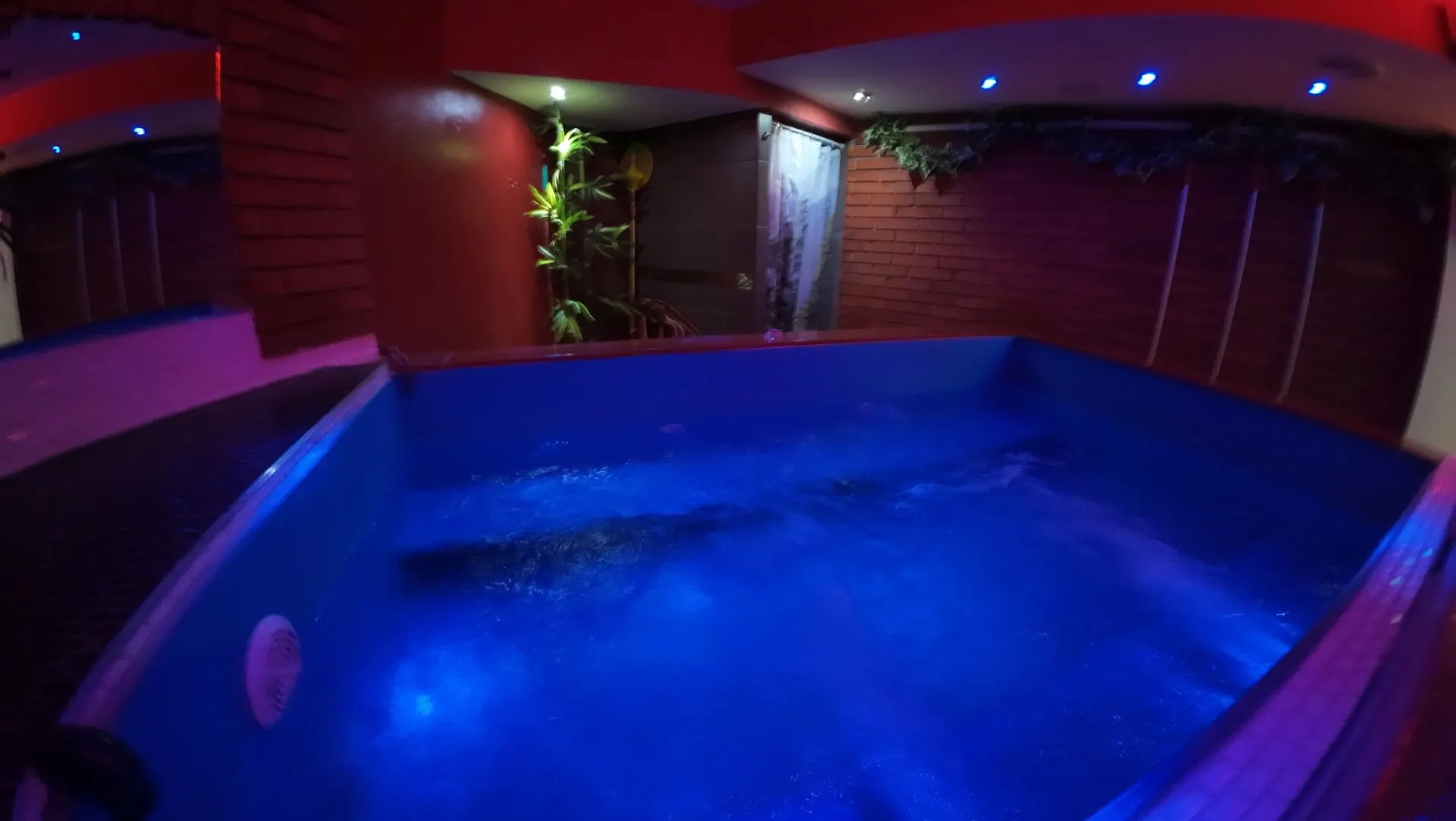 Bubbling jacuzzi with blue water, brick wall and plants behind